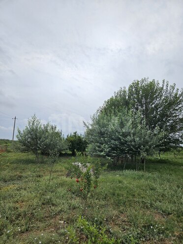 Satılır  torpaq 3 000 sot, photo 5 from 27