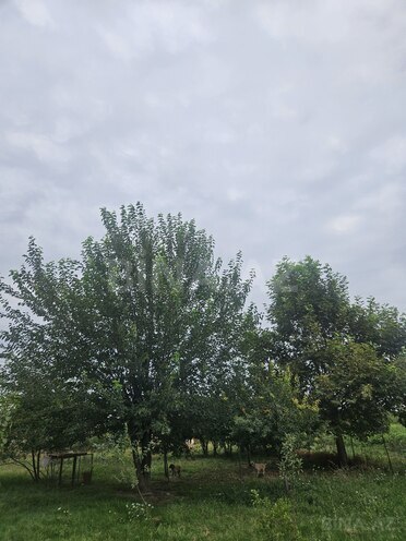 Satılır  torpaq 3 000 sot, photo 4 from 27