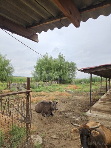 Satılır  torpaq 3 000 sot, photo 14 from 27