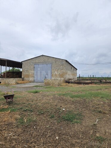 Satılır  torpaq 3 000 sot, photo 17 from 27