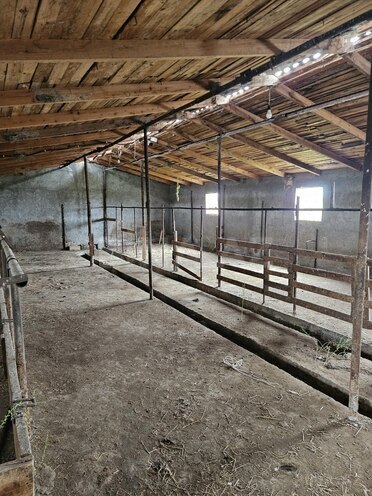 Satılır  torpaq 3 000 sot, photo 22 from 27