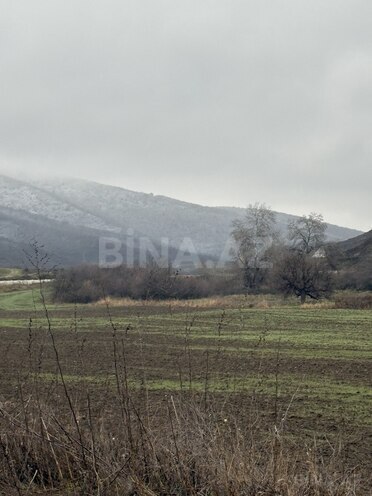 Satılır  torpaq 1 062 sot, photo 5 from 6