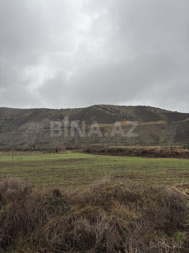 Satılır  torpaq 1 062 sot, photo 3 from 6