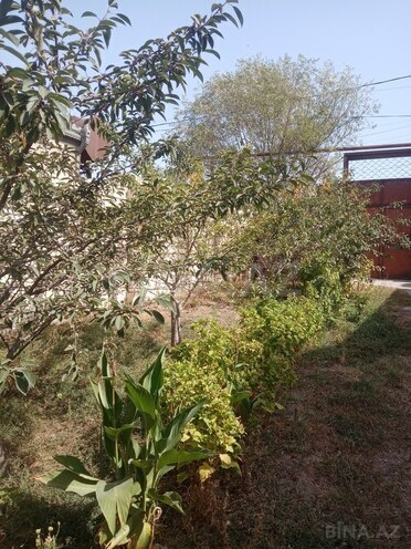 Продаётся  участок 6 сот, пос. Бинагади, photo 5 from 9