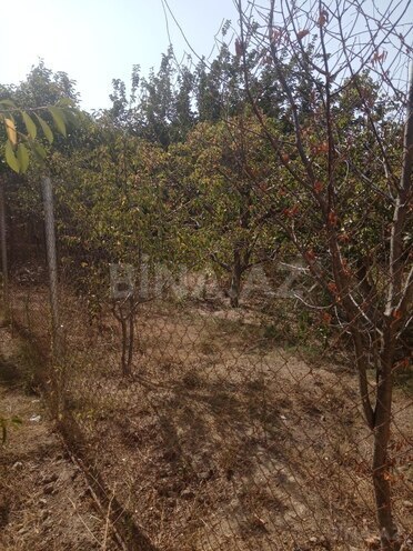 Продаётся  участок 6 сот, пос. Бинагади, photo 8 from 9