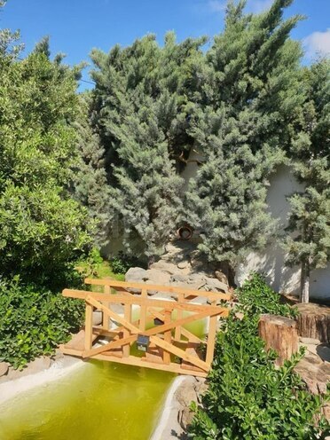 İcarəyə verilir 4 otaqlı həyət evi/bağ evi 100 m², Dübəndi q., photo 10 from 23