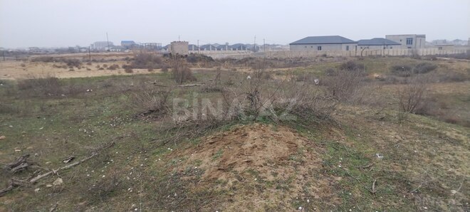 Продаётся  участок 25 сот, пос. Кюрдаханы, photo 7 from 8