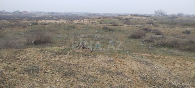 Продаётся  участок 25 сот, пос. Кюрдаханы, photo 6 from 8