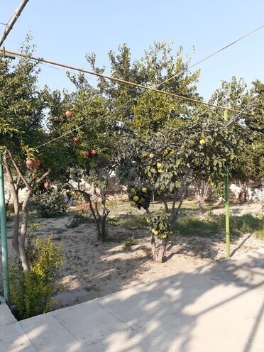 Satılır 4 otaqlı həyət evi/bağ evi 100 m², Fatmayı q., photo 3 from 6