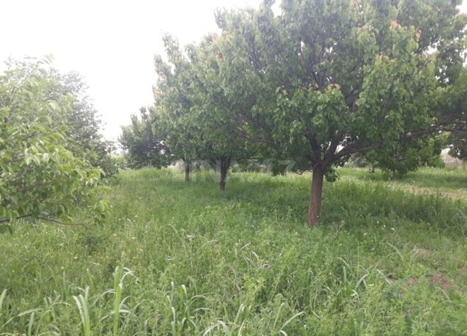 Satılır  torpaq 10 sot, photo 6 from 8