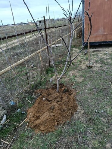 Satılır  torpaq 6 sot, Sea Breeze q., photo 5 from 6