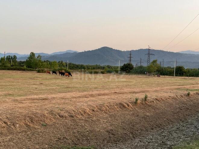 Satılır  torpaq 400 sot, photo 11 from 12