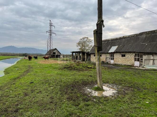 Satılır  torpaq 400 sot, photo 6 from 12