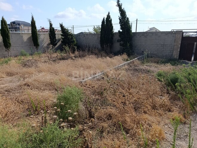 Продаётся 6-комн. дом/дача 470 м², пос. Мардакан, photo 4 from 14