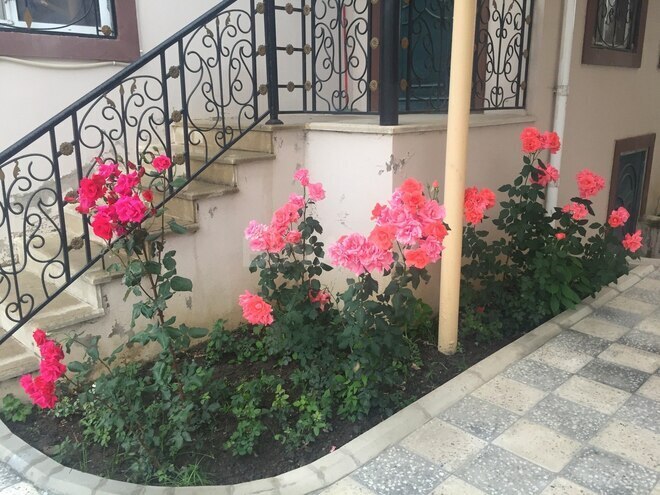 Satılır 5 otaqlı həyət evi/bağ evi 170 m², photo 4 from 28