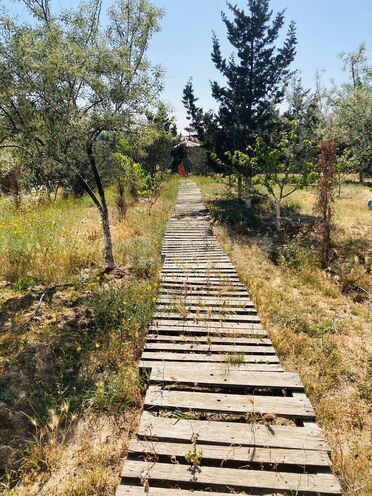 Satılır 6 otaqlı həyət evi/bağ evi 270 m², Görədil q., photo 12 from 32