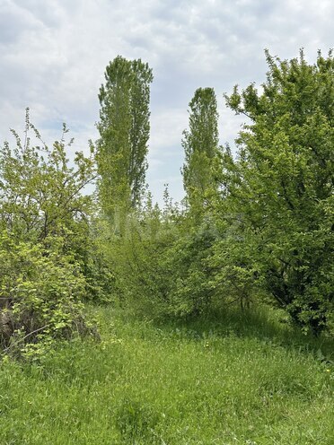 Satılır  torpaq 31 sot, photo 3 from 8