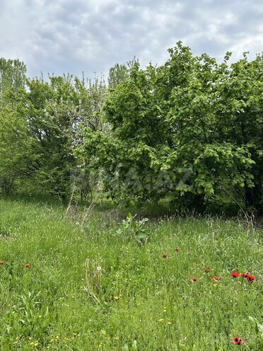 Satılır  torpaq 31 sot, photo 7 from 8