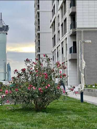 Продаётся 2-комн. новостройка 79.3 м², м. Кероглу, photo 3 from 32