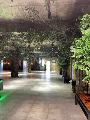 Сдаётся 1-комн. офис 35 м², м. Шах Исмаил Хатаи, photo 10 from 12