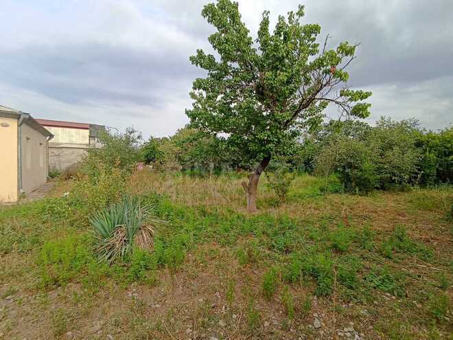 Satılır 1 otaqlı həyət evi/bağ evi 60 m², photo 8 from 19