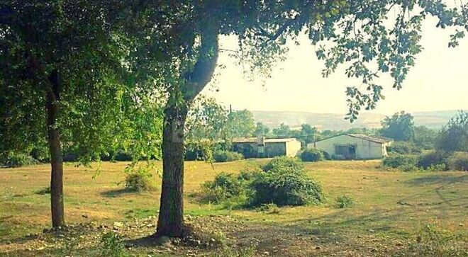 Продаётся  участок 550 сот, photo 6 from 8