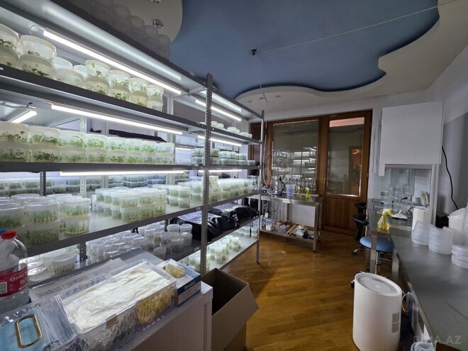 Продаётся 7-комн. новостройка 350 м², Наримановский  р., photo 13 from 32