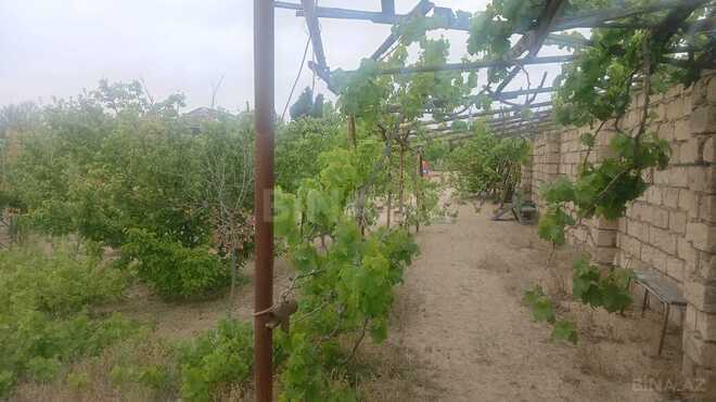Satılır  torpaq 5 sot, Abşeron r., photo 4 from 15