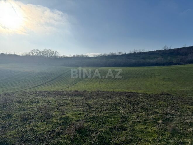 Satılır  torpaq 100 sot, photo 9 from 13