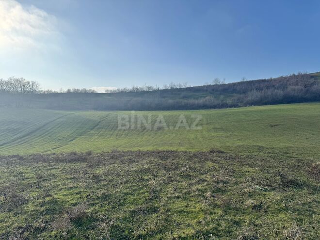 Satılır  torpaq 100 sot, photo 11 from 13