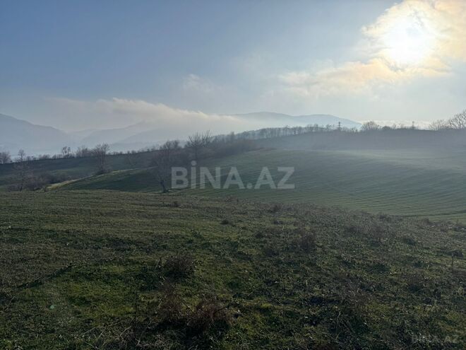 Satılır  torpaq 100 sot, photo 7 from 13