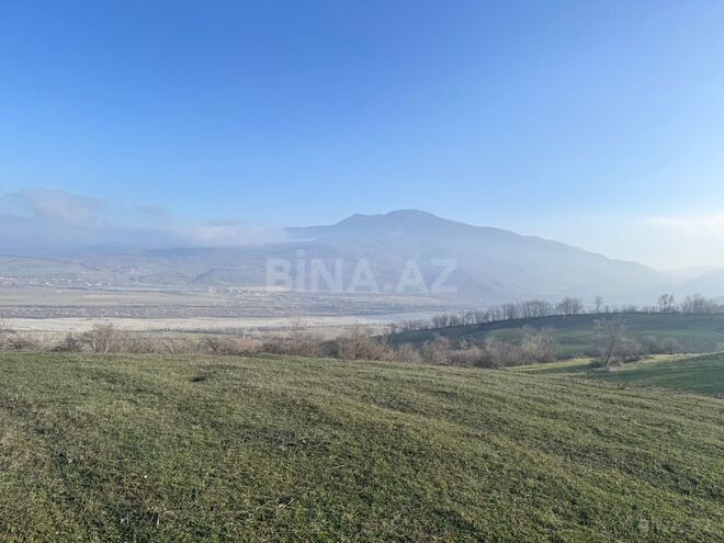 Satılır  torpaq 100 sot, photo 8 from 13