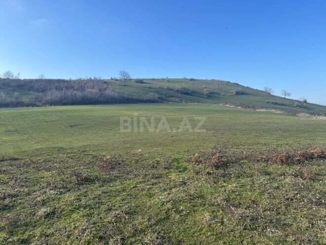 Satılır  torpaq 100 sot, photo 12 from 13