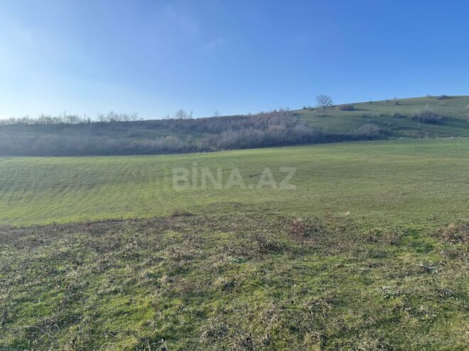 Satılır  torpaq 100 sot, photo 10 from 13