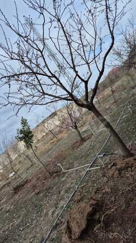 Продаётся 3-комн. дом/дача 120 м², пос. Гала, photo 13 from 16