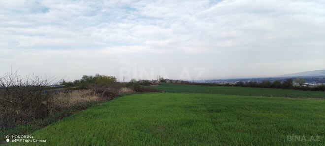 Satılır  torpaq 100 sot, photo 18 from 32