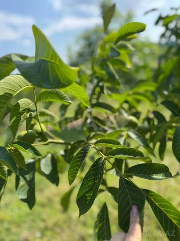 Продаётся  участок 2 сот, photo 10 from 26