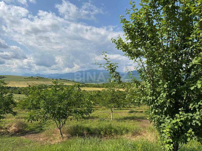 Продаётся  участок 2 сот, photo 14 from 26