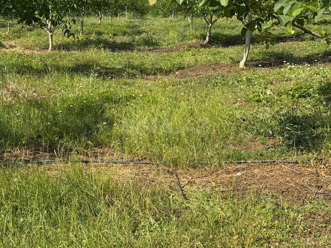 Продаётся  участок 2 сот, photo 17 from 26