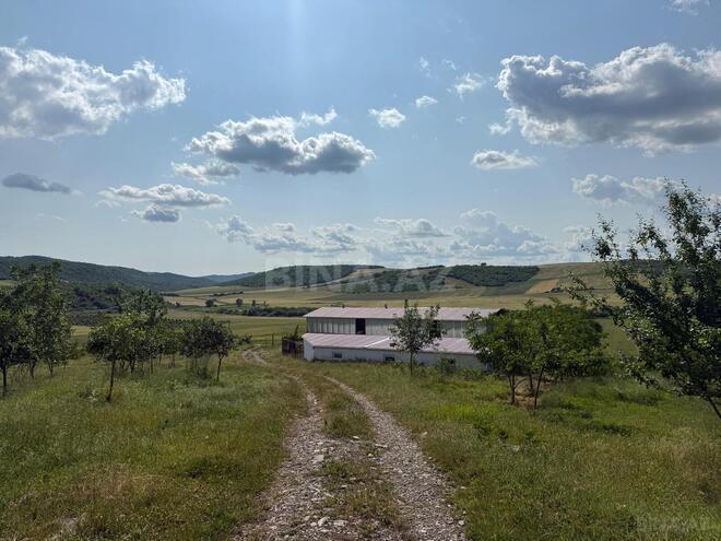 Продаётся  участок 2 сот, photo 24 from 26