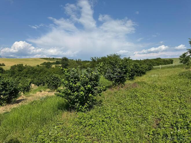 Продаётся  участок 2 сот, photo 22 from 26