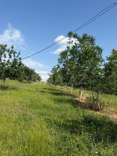 Продаётся  участок 2 сот, photo 25 from 26