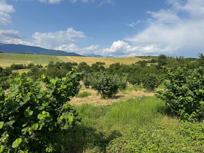 Продаётся  участок 2 сот, photo 21 from 26