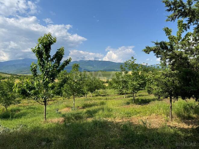 Продаётся  участок 2 сот, photo 3 from 26