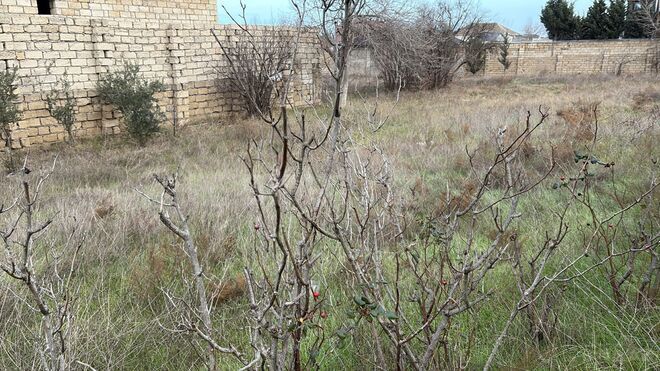 Satılır 1 otaqlı həyət evi/bağ evi 70 m², photo 25 from 26