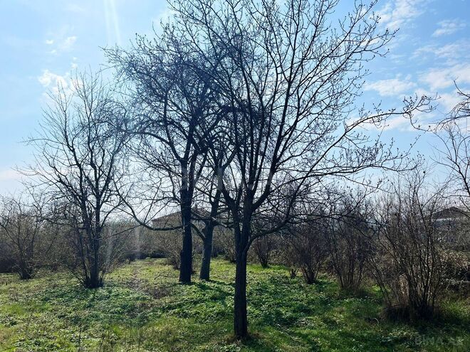 Satılır 6 otaqlı həyət evi/bağ evi 200 m², photo 9 from 13