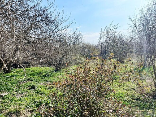 Satılır 6 otaqlı həyət evi/bağ evi 200 m², photo 3 from 13