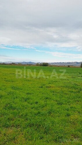 Satılır  torpaq 21 000 sot, photo 3 from 4