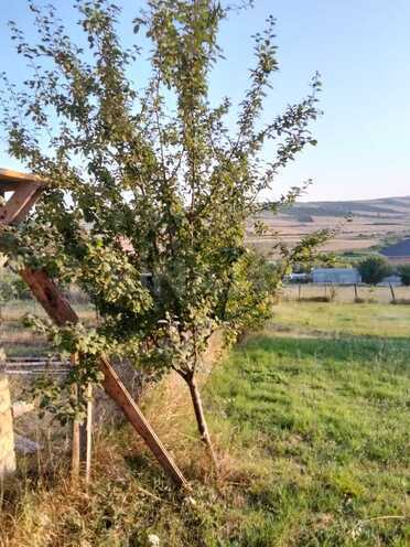 Satılır  torpaq 10 sot, photo 4 from 7