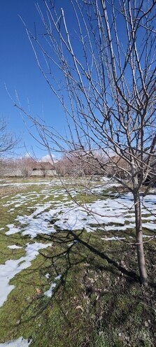 Satılır  torpaq 15 sot, photo 7 from 10